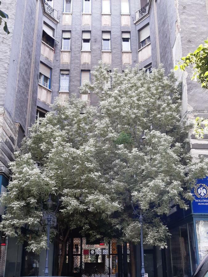 Wanderer 3 Debrecen Exterior foto