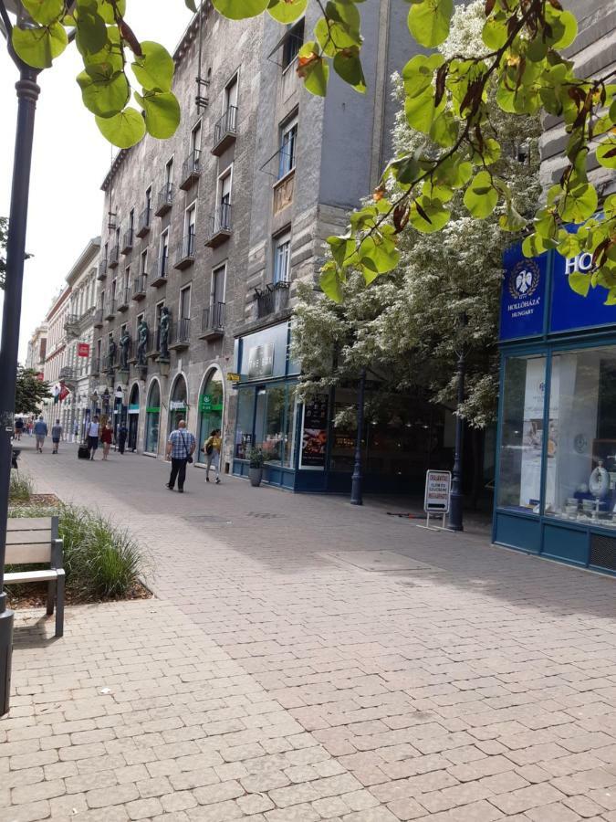 Wanderer 3 Debrecen Exterior foto